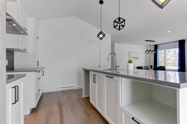 Cuisine - Blanc - Shaker