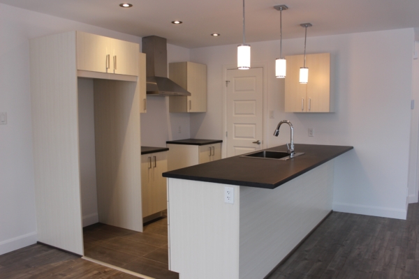 Cuisine - Comptoir noire